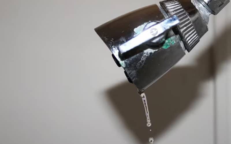 A showerhead is leaking