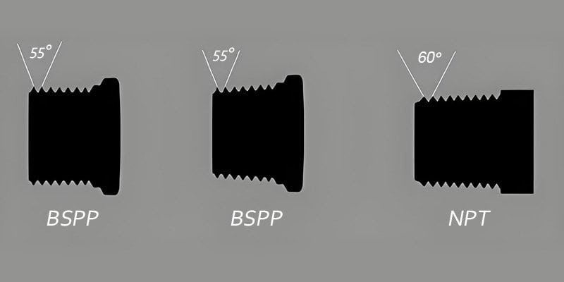 NPT VS BSP